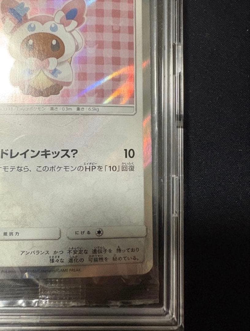新品未開封　ポンチョを着たイーブイ（ニンフィア) SM-Pプロモカード
