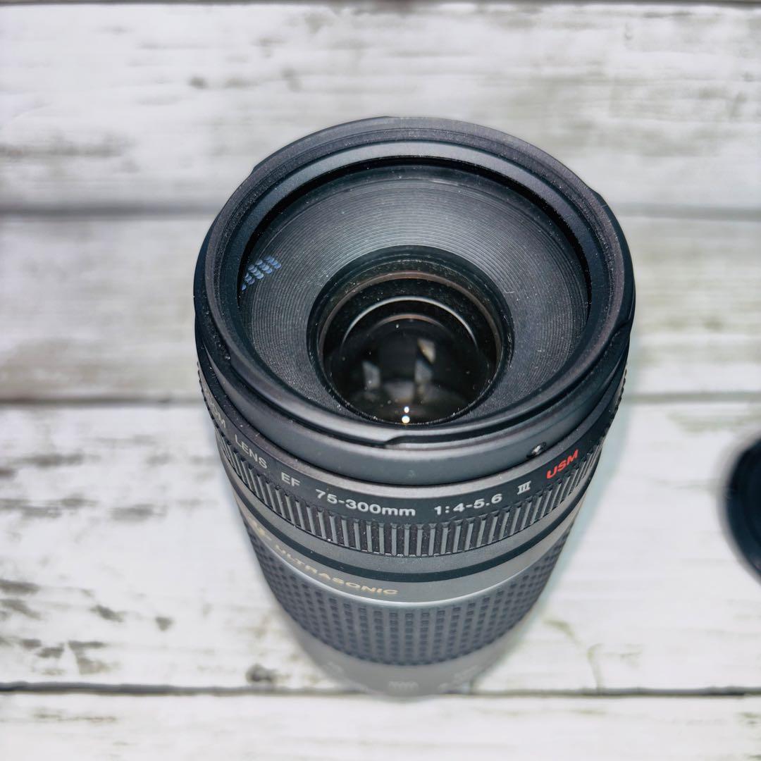 【動作良好】Canon EF 75-300mm F4-5.6 Ⅲ USM